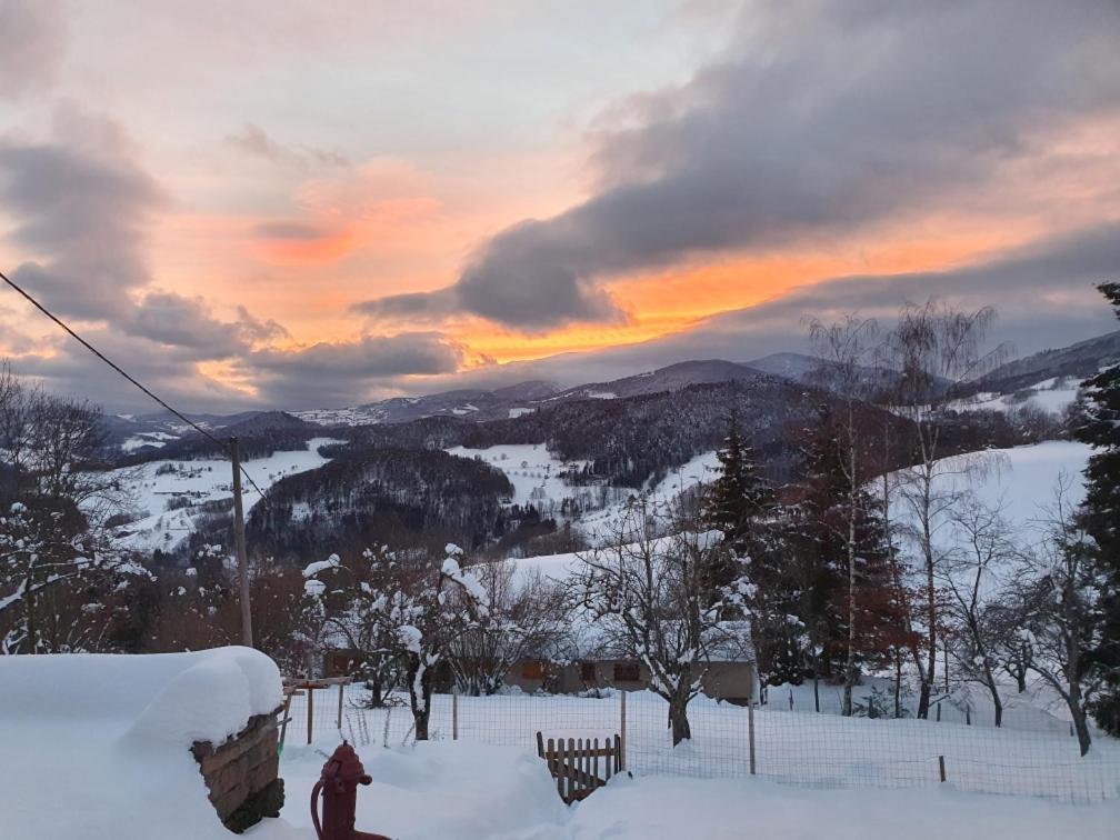 Le Nid Du Kaloui Bed and Breakfast Fréland Εξωτερικό φωτογραφία