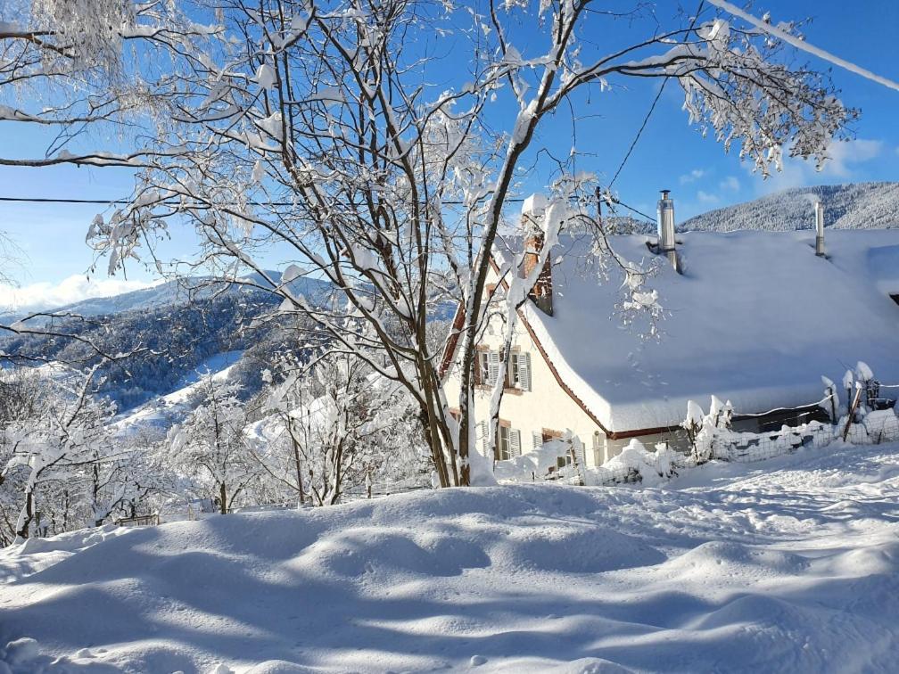 Le Nid Du Kaloui Bed and Breakfast Fréland Εξωτερικό φωτογραφία