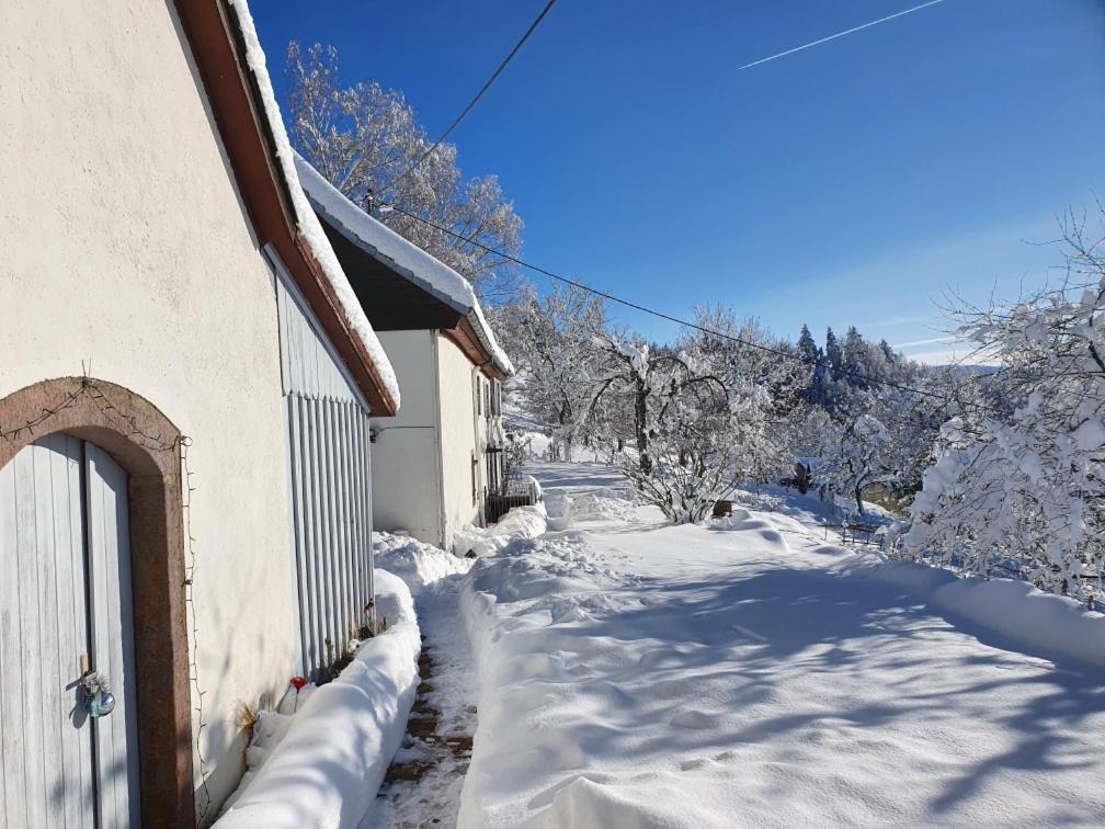 Le Nid Du Kaloui Bed and Breakfast Fréland Εξωτερικό φωτογραφία