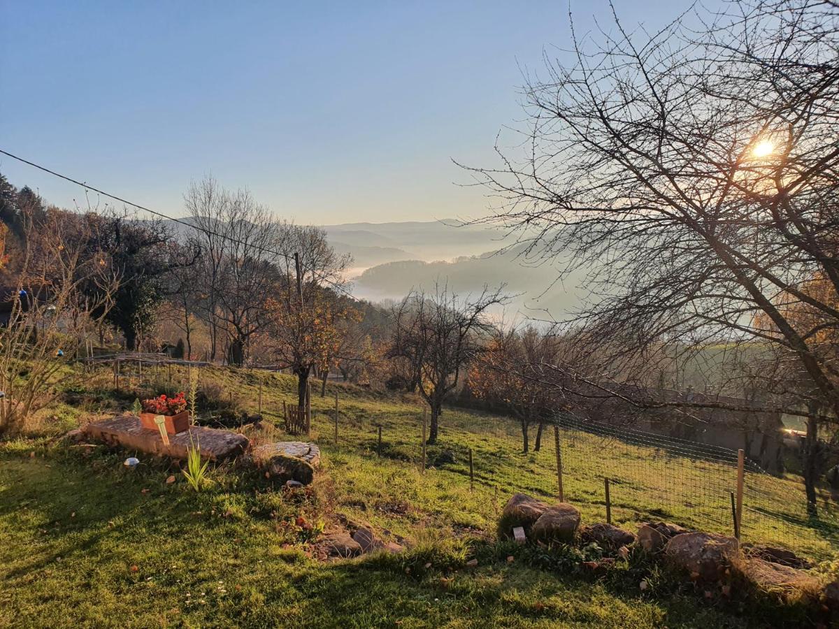 Le Nid Du Kaloui Bed and Breakfast Fréland Εξωτερικό φωτογραφία