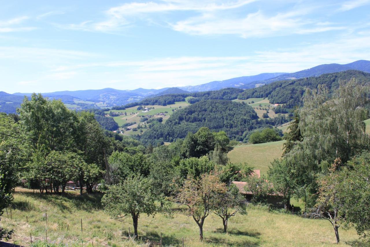 Le Nid Du Kaloui Bed and Breakfast Fréland Εξωτερικό φωτογραφία