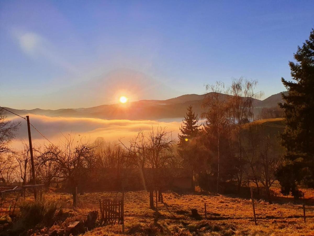 Le Nid Du Kaloui Bed and Breakfast Fréland Εξωτερικό φωτογραφία