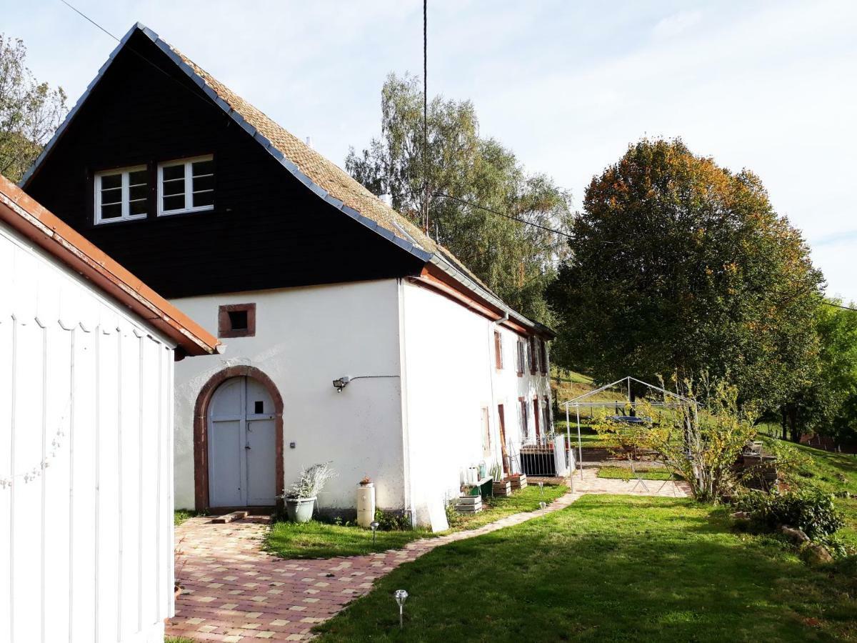 Le Nid Du Kaloui Bed and Breakfast Fréland Εξωτερικό φωτογραφία