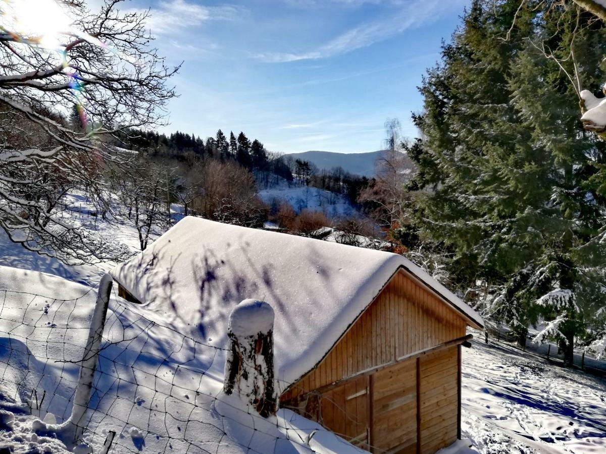 Le Nid Du Kaloui Bed and Breakfast Fréland Εξωτερικό φωτογραφία
