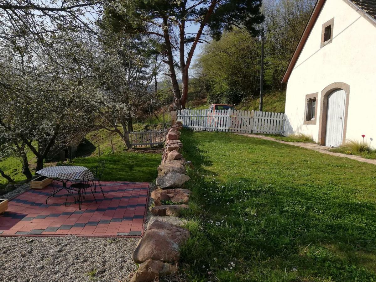 Le Nid Du Kaloui Bed and Breakfast Fréland Εξωτερικό φωτογραφία