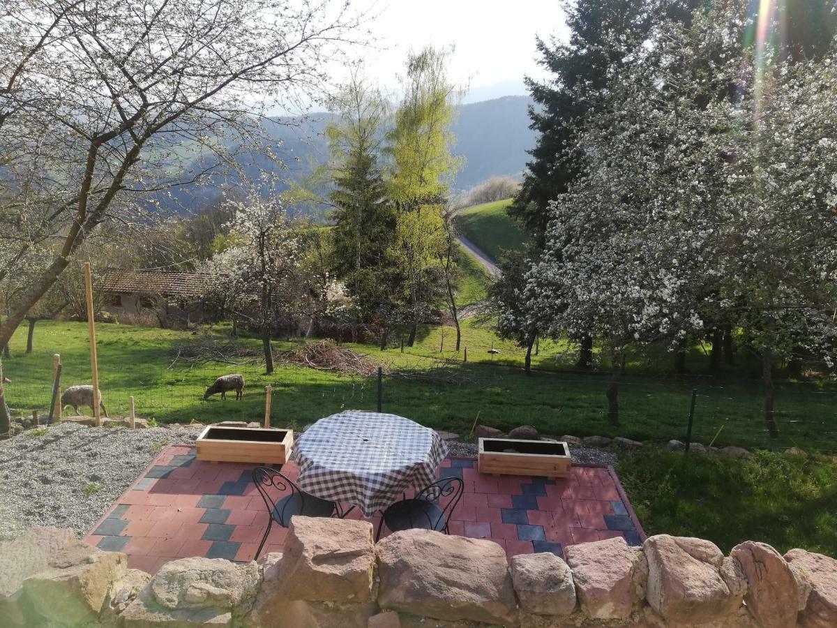 Le Nid Du Kaloui Bed and Breakfast Fréland Εξωτερικό φωτογραφία