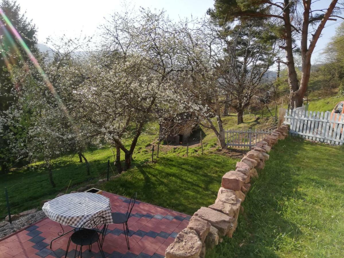 Le Nid Du Kaloui Bed and Breakfast Fréland Εξωτερικό φωτογραφία